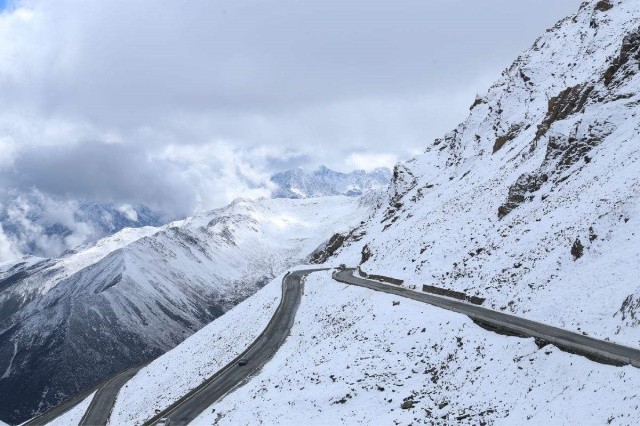 一路向北 见识真正的雪地王者