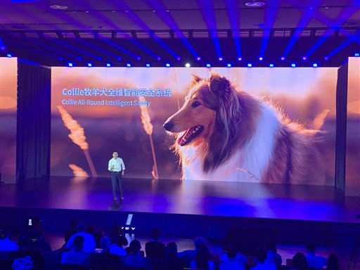 Collie牧羊犬全维智能安全系统