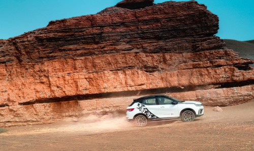 神兽回笼，真的就万事大吉了吗？ 