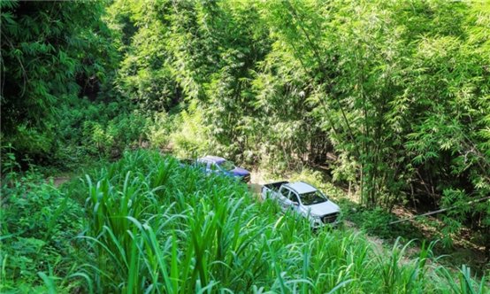 é¿å®å¯ç¨F70èµ°è¿åå¹´è¶å±± ä¸æ§è°é©èµ¢å¾è¶åä¿¡èµ