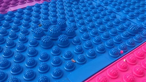 756229590066563497