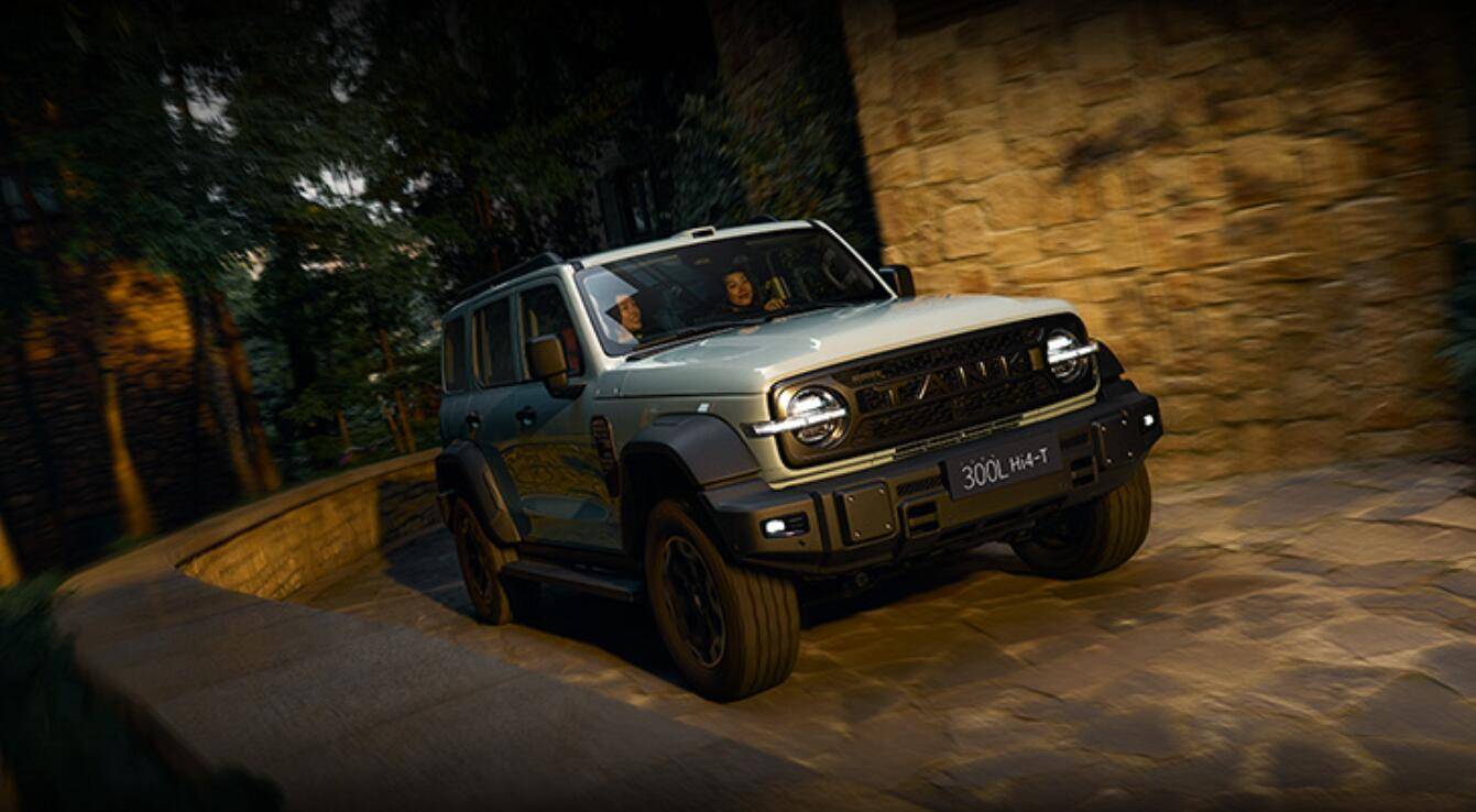 坦克300L,11.jpg